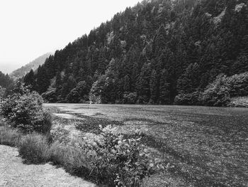 Scenic view of land against sky