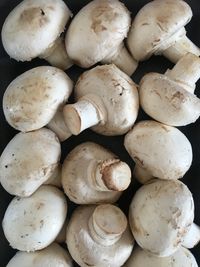 Full frame shot of mushrooms