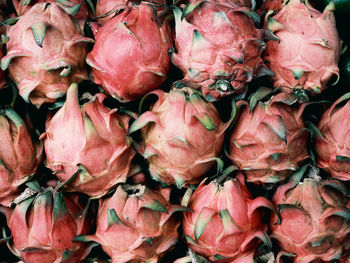 The beautiful and delicious dragon fruit sold at the local store.