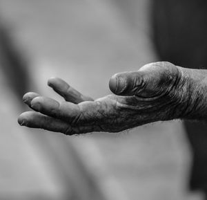 Close-up of cropped hand