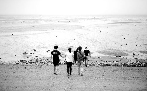 Scenic view of beach