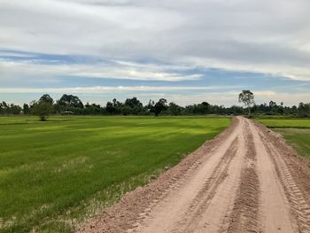 Scenic view of agricultural field against sky