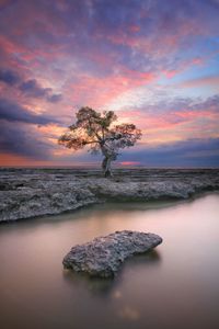 Sunset in maros, makassar