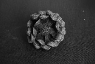 Close-up of wilted flower on table