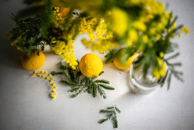 Still life with mimosa in vase and lemons