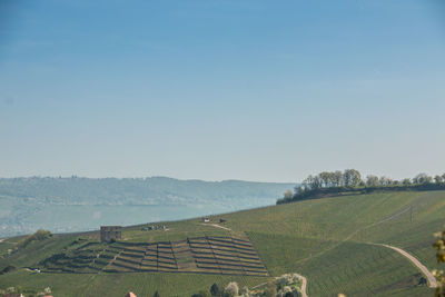 Scenic view of agricultural field against clear sky