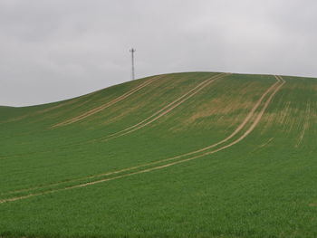 Scenic view of a green hill