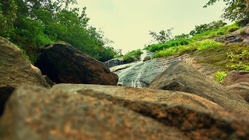 Scenic view of waterfall in forest against sky