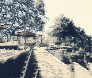 Footpath amidst trees and buildings against sky