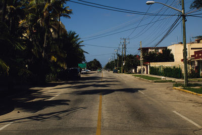 Empty road along trees