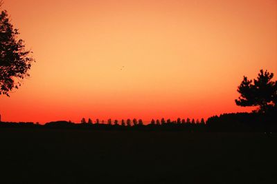 Silhouette trees on landscape against orange sky