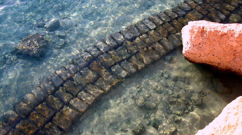Close-up of crab on rock by sea