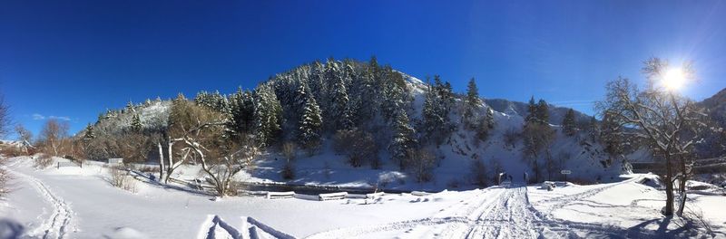 Scenic view of snow covered landscape