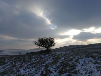 Scenic view of snow covered field against sky