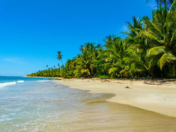 Scenic view of beach against clear blue sky