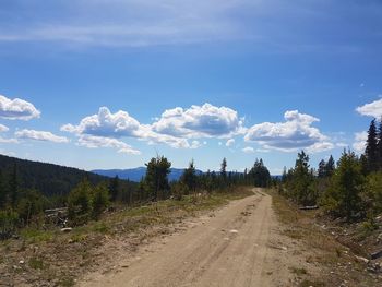 Road amidst trees against sky