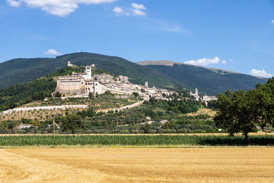 Scenic view of agricultural field against sky