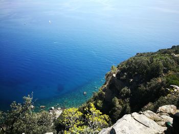 High angle view of trees by sea against sky