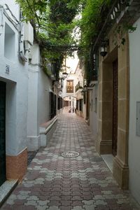 Alley amidst buildings in city