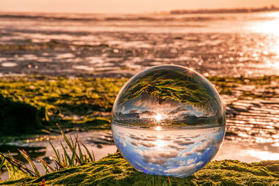 Close-up of crystal ball with reflection in water