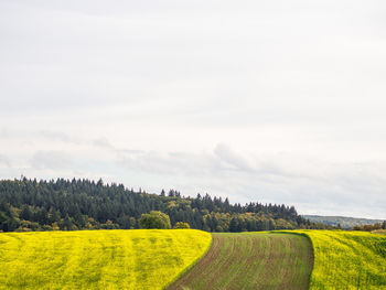 Scenic view of farm against sky