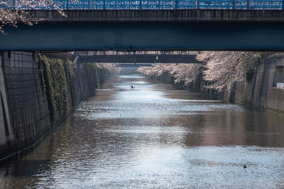 Bridge over river