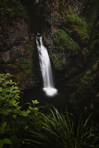 Scenic view of waterfall in forest