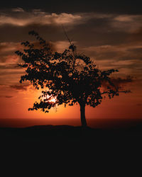 Silhouette tree against orange sky