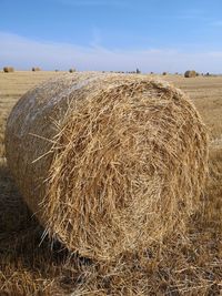 Hay bales on field against sky