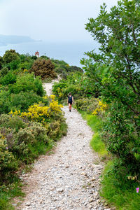Rear view of man walking on dirt road