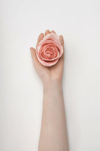 Close-up of hand holding rose over white background