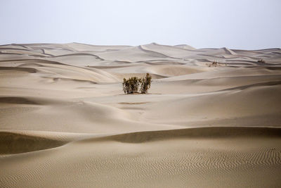 Sand dunes in desert against clear sky