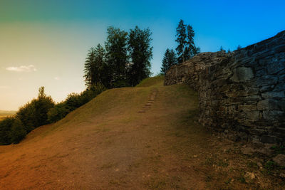 Footpath amidst trees against clear blue sky