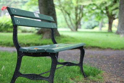 Empty bench in park, sexy bench.