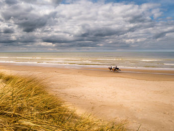 People riding horse at beach against sky