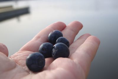 Close-up of hand holding fruits