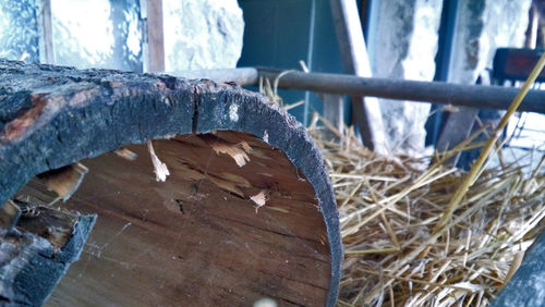 Close-up of wood
