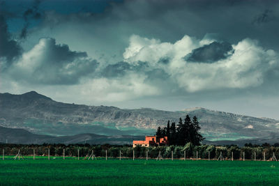 Scenic view of field against sky