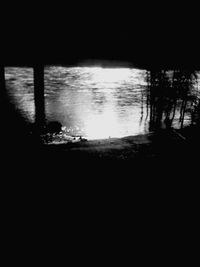 Reflection of trees in water