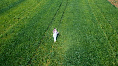 High angle view of a dog on field