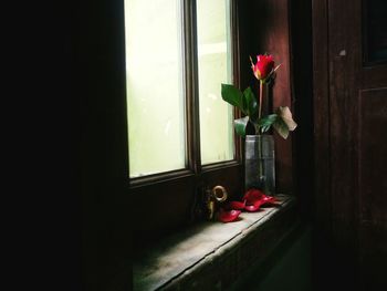 Close-up of red flower on window sill