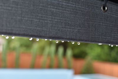 Close-up of water drops on roof