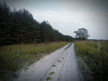 the way forward