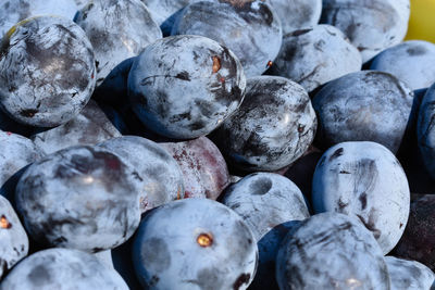 Full frame shot of blueberries