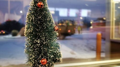 Close-up of christmas tree during winter