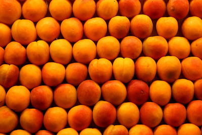 Full frame shot of apricots