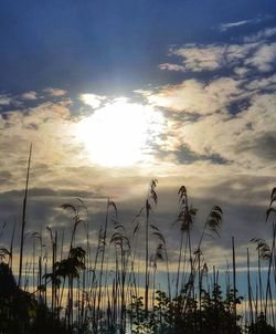 Scenic view of sunset