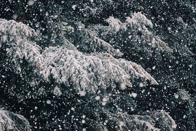 Full frame shot of frozen lake