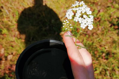 Midsection of woman holding hand by flowering plants