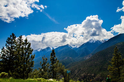Panoramic view of trees and mountains against sky